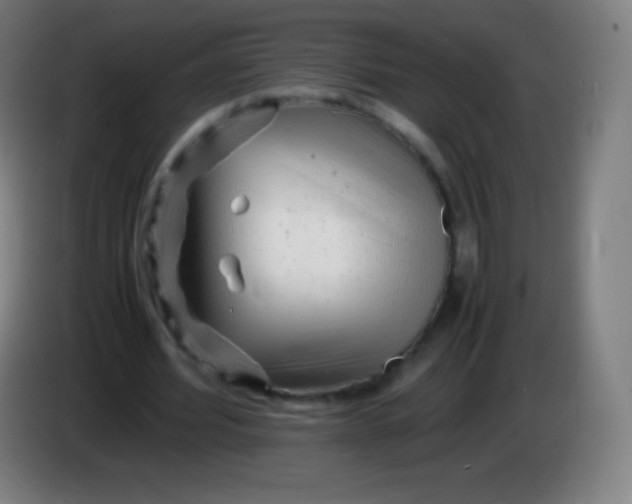 X0000085290580200703301940