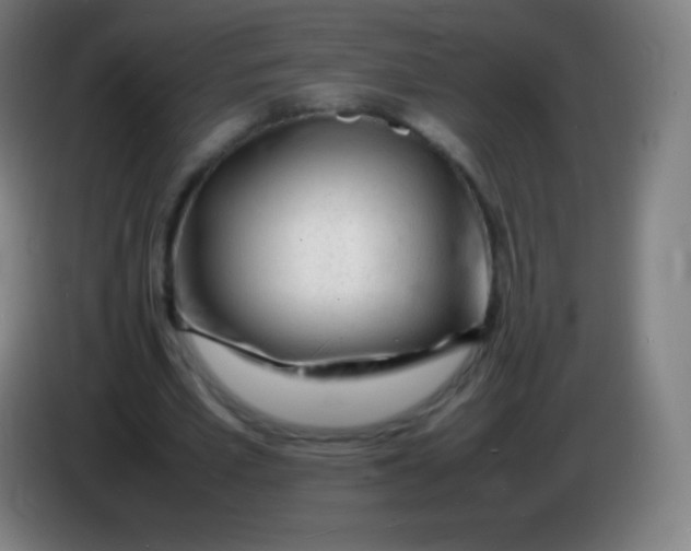 X0000085290581200703301940