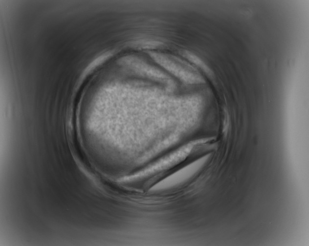 X0000085290582200703301940