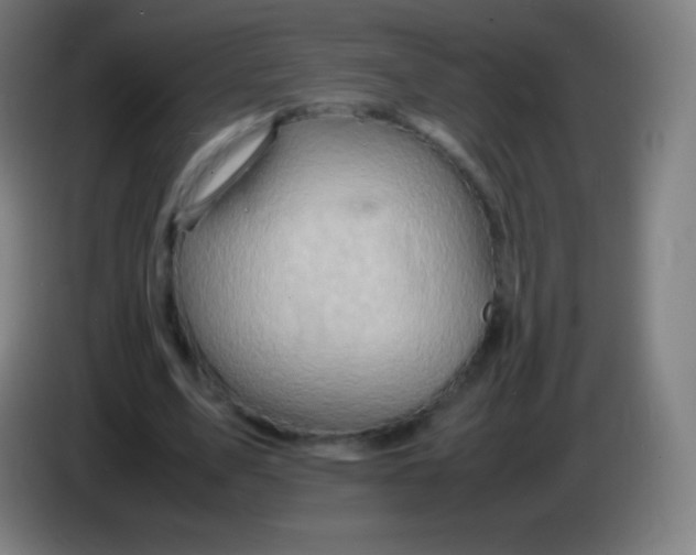 X0000085290583200703301940