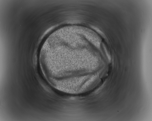 X0000085290584200703301940