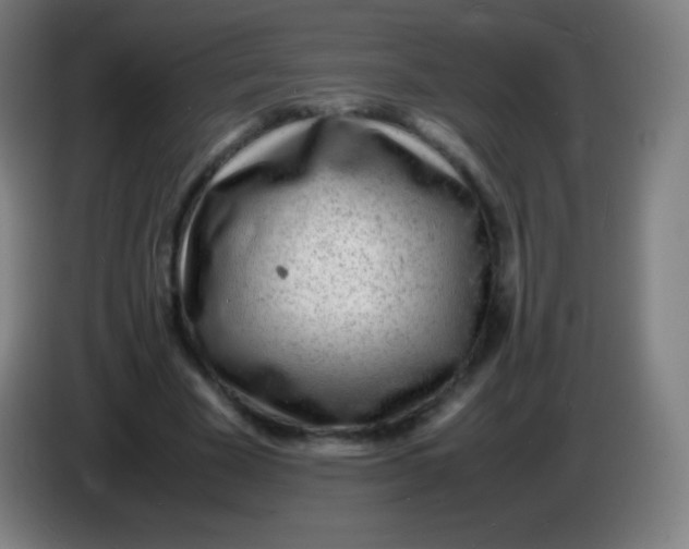 X0000085290585200703301940