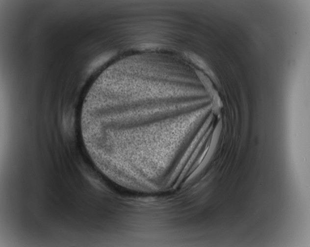 X0000085290588200703301940