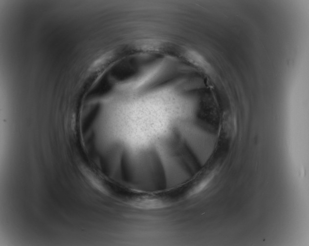 X0000085290589200703301940
