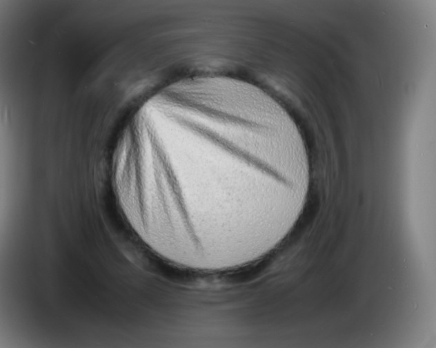 X0000085290591200703301940