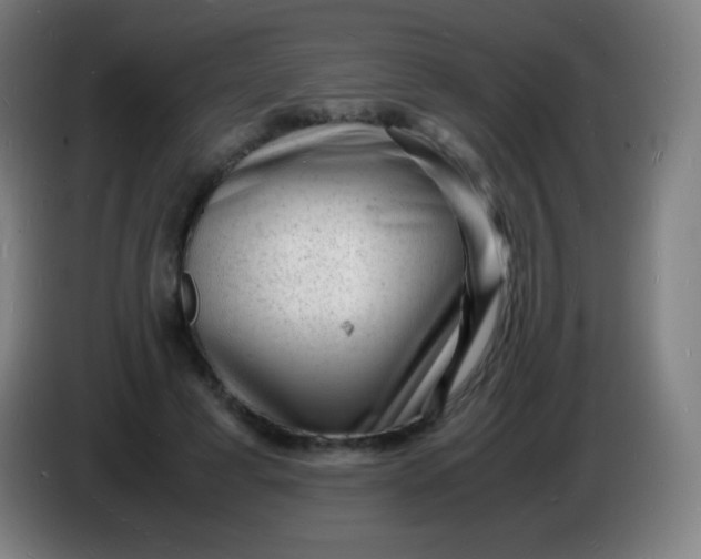X0000085290593200703301940