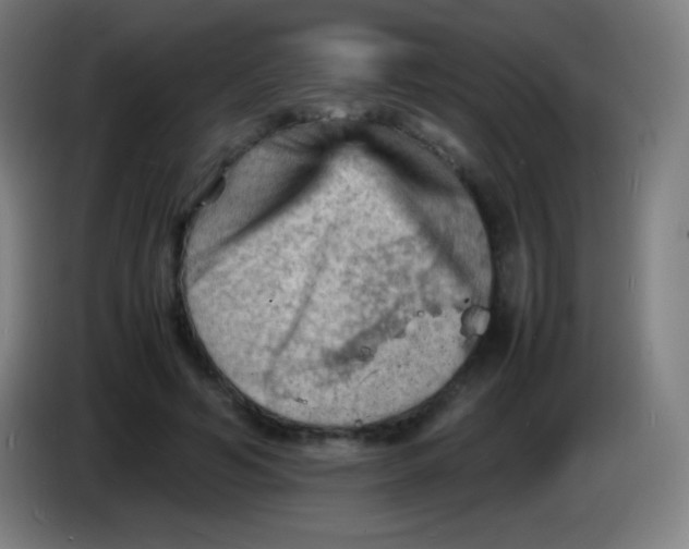 X0000085290594200703301940