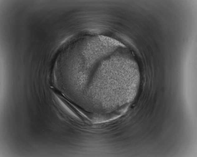 X0000085290596200703301940