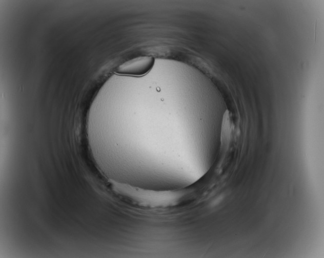 X0000085290600200703301940