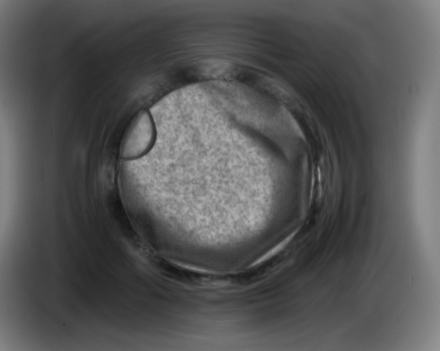 X0000085290602200703301940