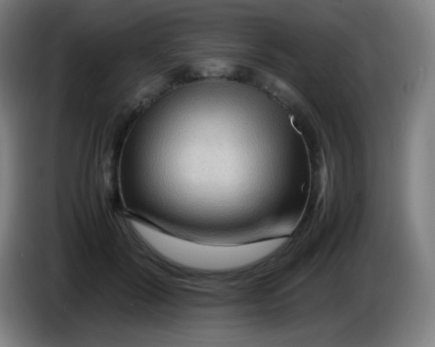 X0000085290604200703301939