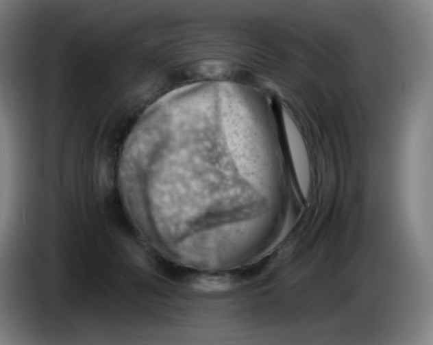 X0000085290606200703301939