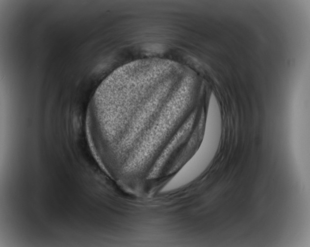 X0000085290608200703301939