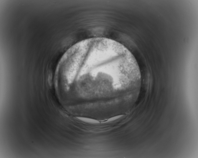 X0000085290610200703301939