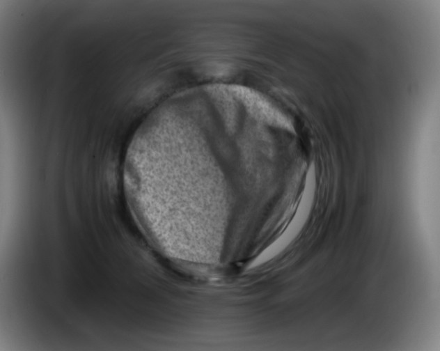 X0000085290612200703301939
