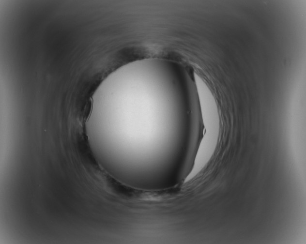 X0000085290613200703301939
