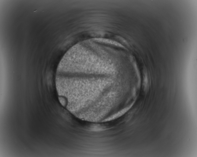 X0000085290616200703301939