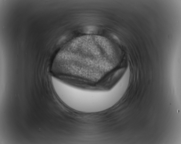 X0000085290620200703301939