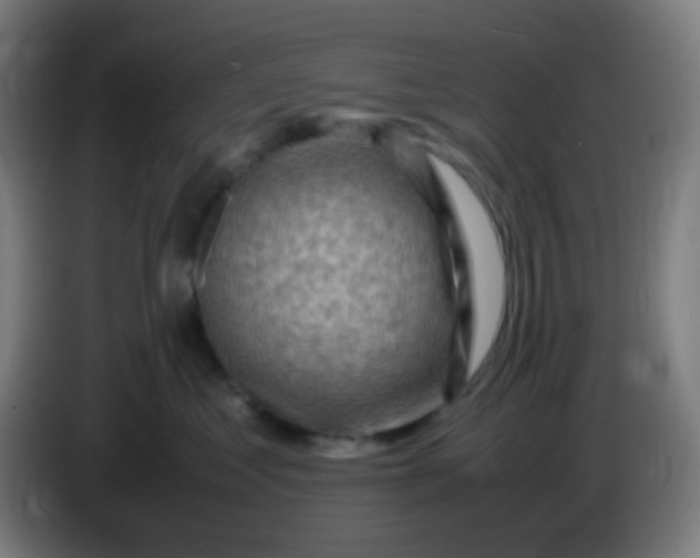 X0000085290621200703301939