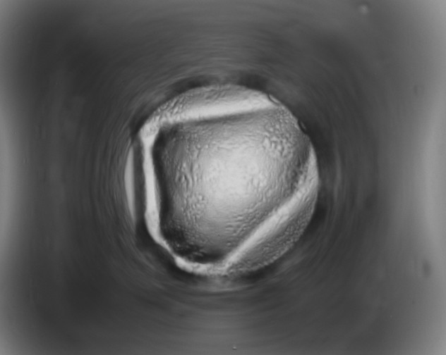 X0000085290623200703301939