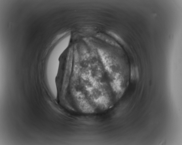X0000085290627200703301939