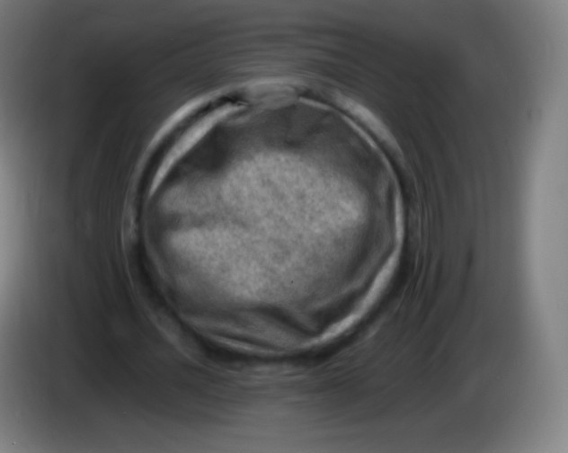 X0000085290628200703301939