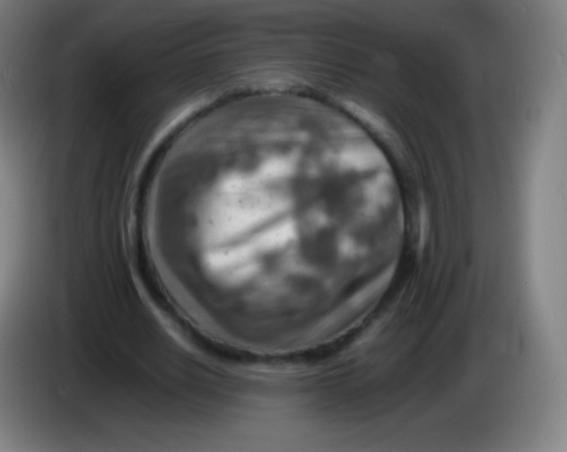 X0000085290630200703301939