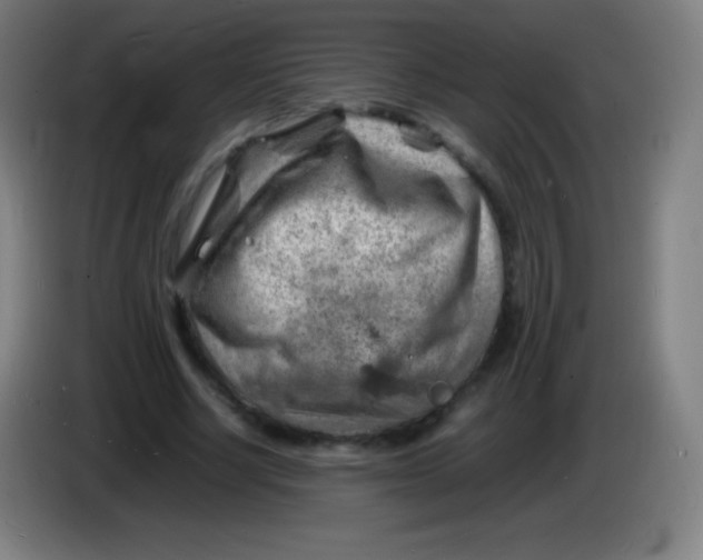X0000085290634200703301939