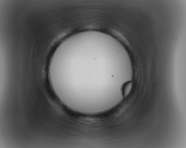 X0000085290635200703301939