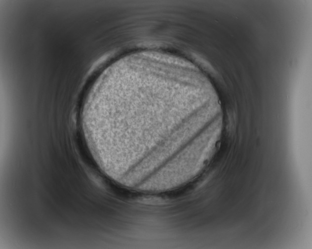 X0000085290636200703301939