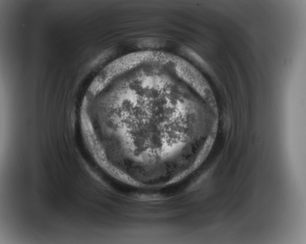 X0000085290637200703301939