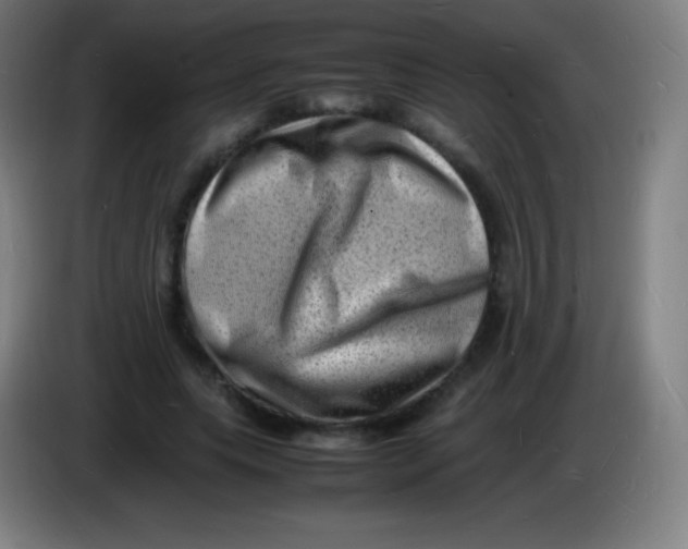 X0000085290639200703301939