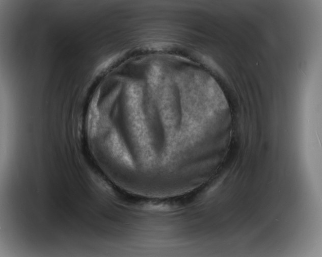 X0000085290640200703301939