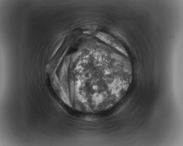 X0000085290641200703301939