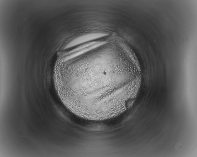 X0000085290642200703301939