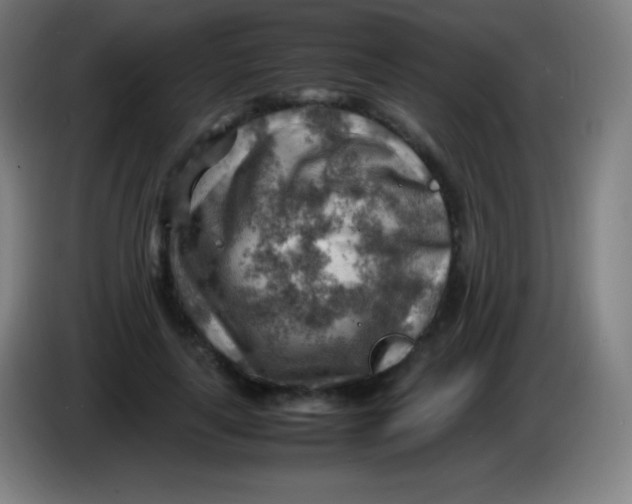 X0000085290643200703301939