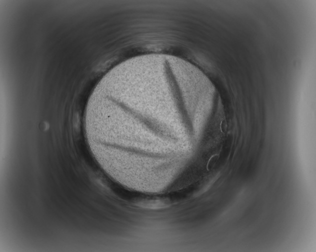 X0000085290646200703301939