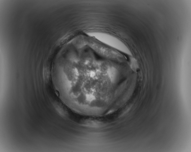 X0000085290648200703301939