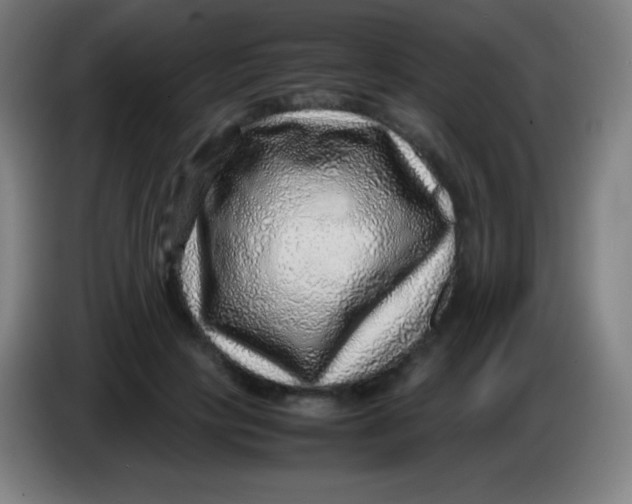 X0000085290649200703301939