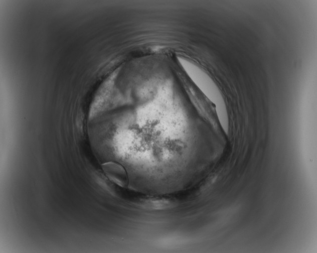 X0000085290650200703301939