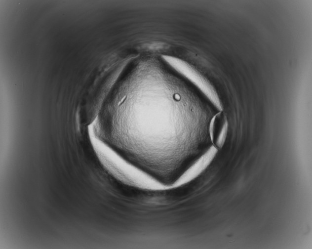 X0000085290651200703301939