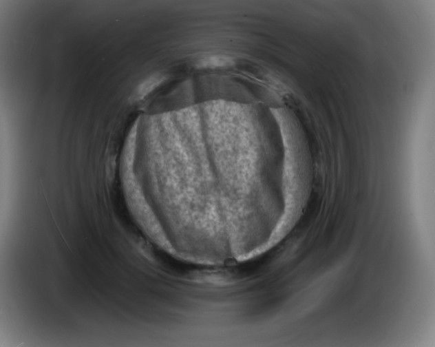 X0000085290652200703301939