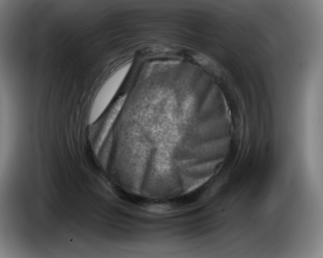 X0000085290653200703301939