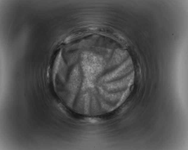 X0000085290654200703301939