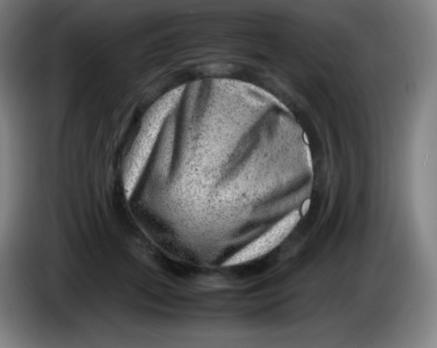 X0000085290655200703301939