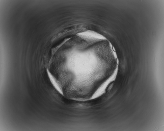 X0000085290657200703301939
