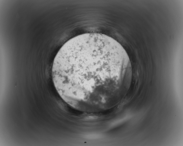 X0000085290658200703301939