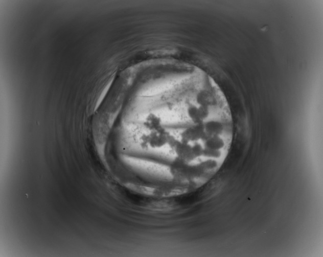X0000085290659200703301939