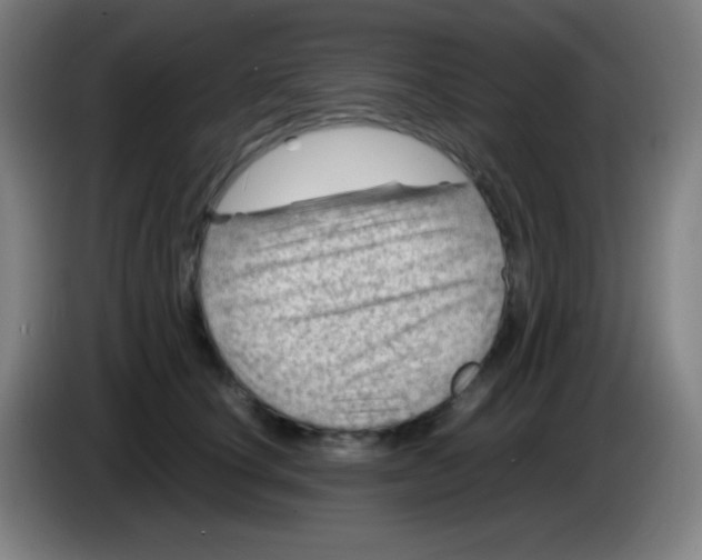 X0000085290660200703301939