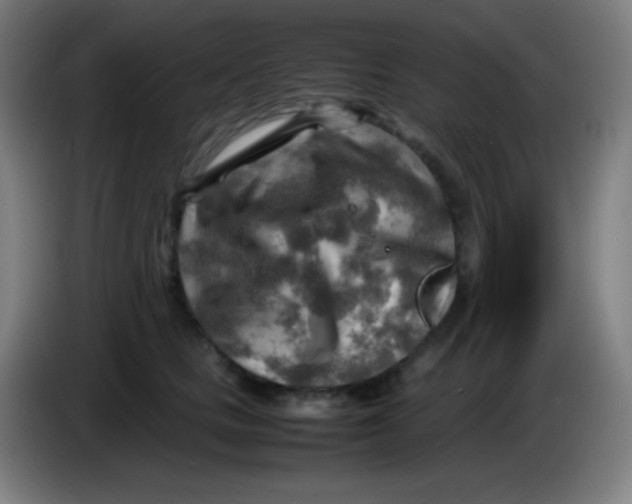 X0000085290661200703301939